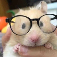 Tg nè mấy cưng🫶