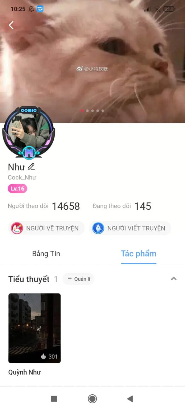 NovelToon