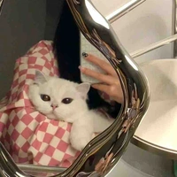 Tác giả mất acc 😔