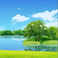 Nhân vật tổng hợp