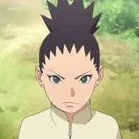 Shikadai