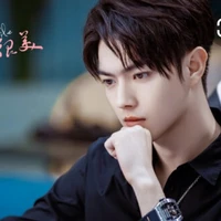 Lục Tư Thành-chessmen