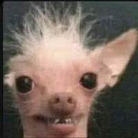 tác giả xênh đẹp