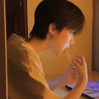 Đinh Mặc Song Tử