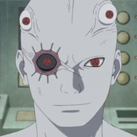 Shin