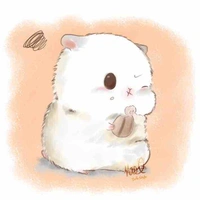 Hệ thống số 09