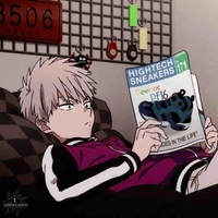 shiki