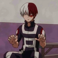 Todoroki Shoto [Shouto]