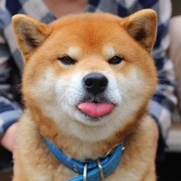 Mướp Đắng