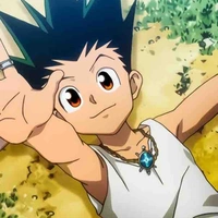 Gon freecss 