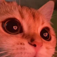 Unri