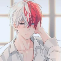 Todoroki Shoto