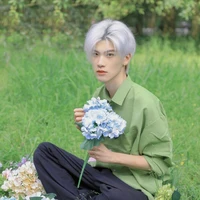 Song Tử