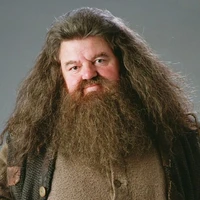 Rubeus Hagrid