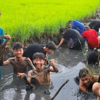 Tất cả
