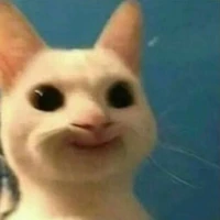 đũy t/g