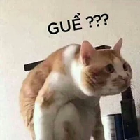 Mận cóc xoài ổi