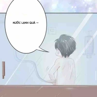Tác giả 