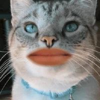 :>>