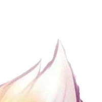 All trừ ai tự biết:3