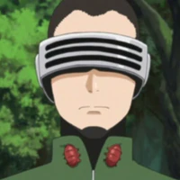 Shino Aburame