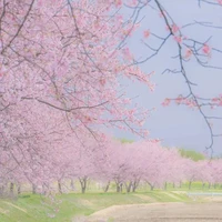 bí ẩn
