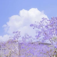 Bí ẩn