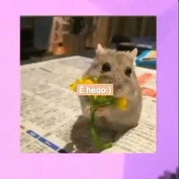 điện thoại:)