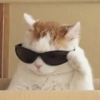 tác giả kawaii:3