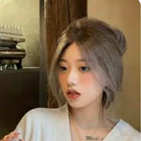 Han Y/n