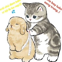 cả bọn