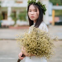 chảo lan