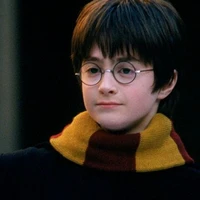 Harry Potter (nhỏ)