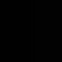 bs