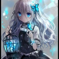 Poison Butterfly