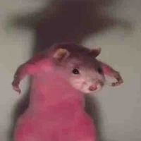 All