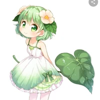 Hạ cơ