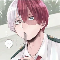 todoroki shouto