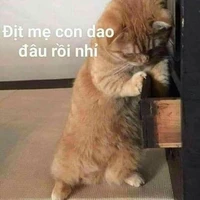 nhóm midoriya
