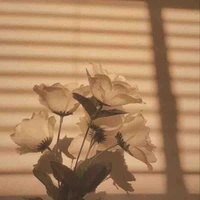 c.cậu