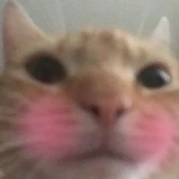 Tác giả quyền lực