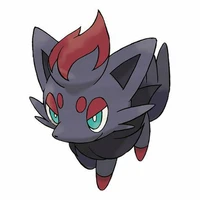 zorua