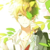 Kakashi Osaka (B.dương goolboy)
