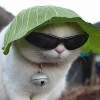 JEE