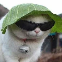 JEE