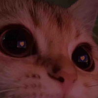 tác giả luv Haru & Mjr