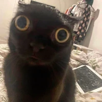 tác giả xinh trai