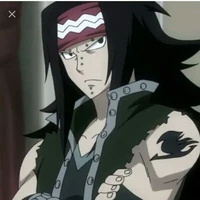 Gajeel Radfox
