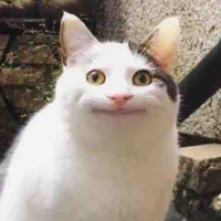 Mấy má bị lãng quên