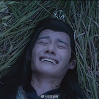 Con au zô zuyên_nghiệp cả